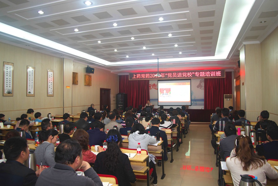 IMGP3528.jpg IMGP3528.jpg